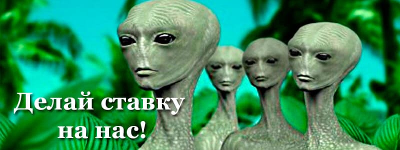 Специальные ставки в букмекерских конторах