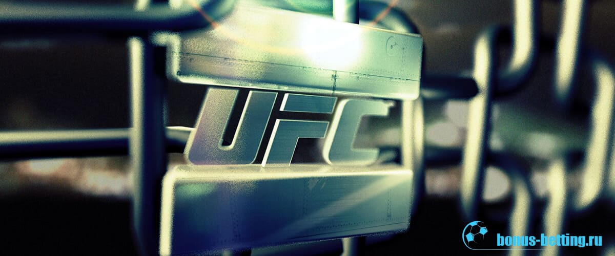 UFC 245: 15 декабря, Лас-Вегас