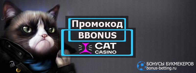 Cat casino промокод при регистрации - RUB в Июне 