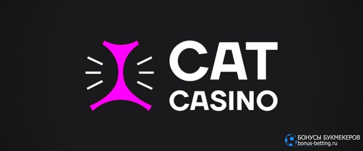 cat casino on
