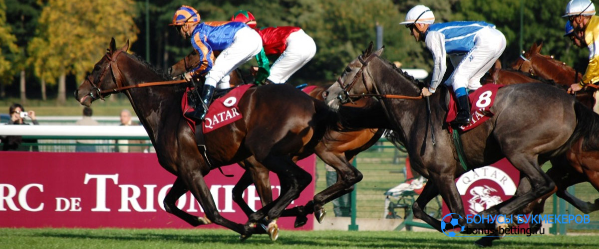 XB Net и Betindiaraces
