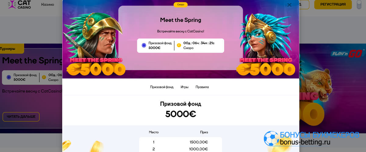 Meet the spring в Cat casino