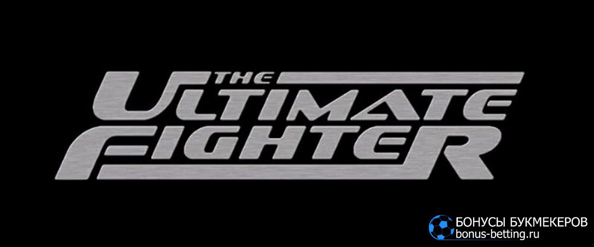 The Ultimate Fighter 31: формат