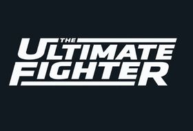 The Ultimate Fighter 31