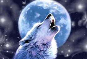 Лунный волк в Покердом