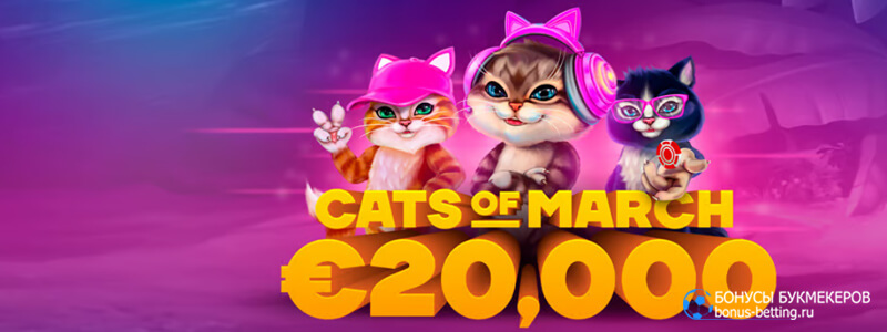 Мартовские коты в Cat casino
