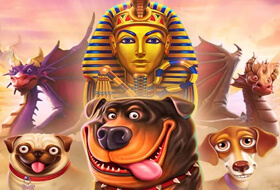 PragmaticPlay Tournament в Daddy casino