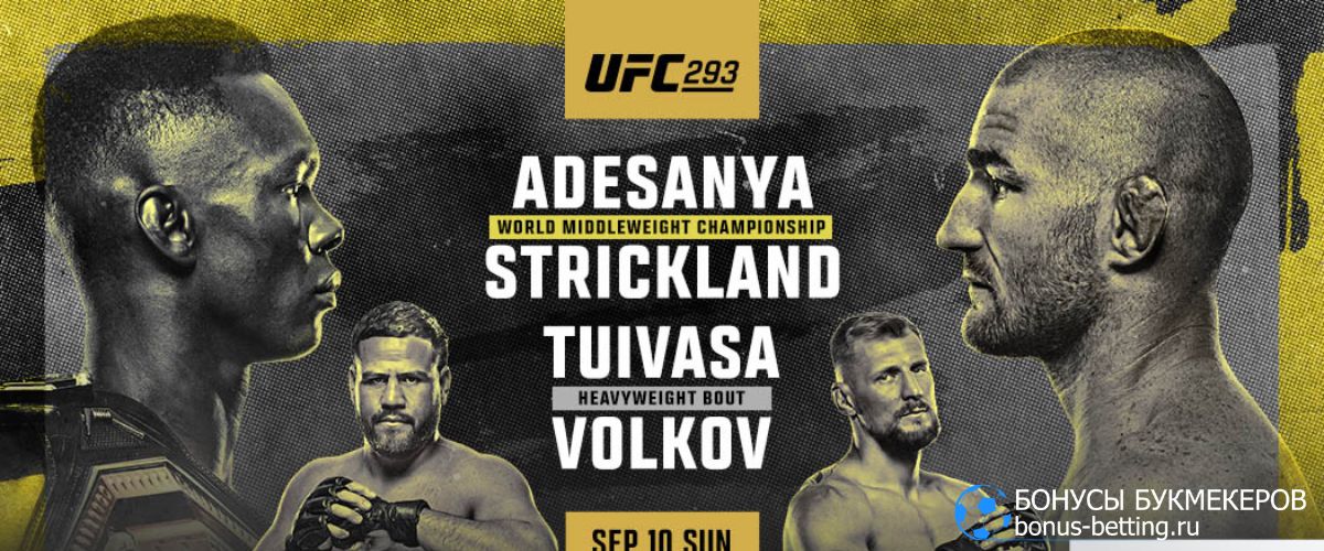 UFC 293