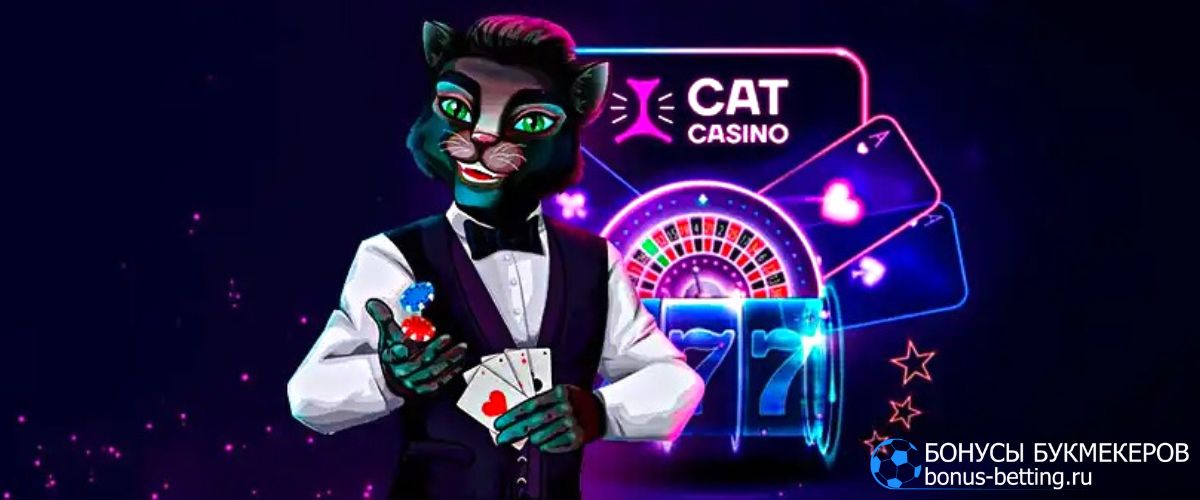 Cat Casino бездепозитный бонус: все подробности