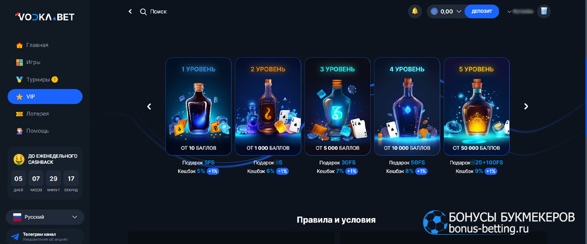Программа лояльности Vodka casino