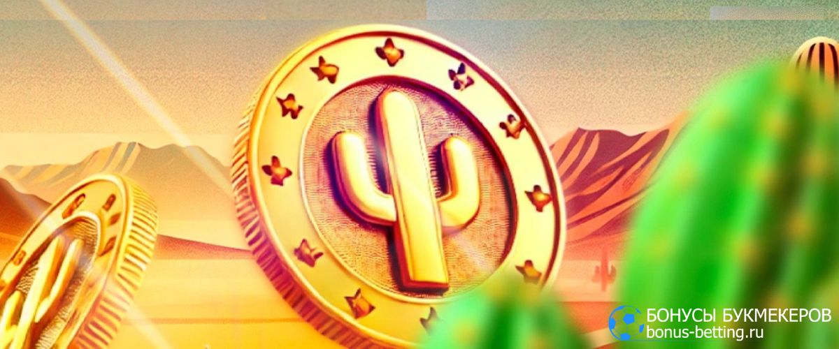 Турнир Пустынные приключения Cactus casino