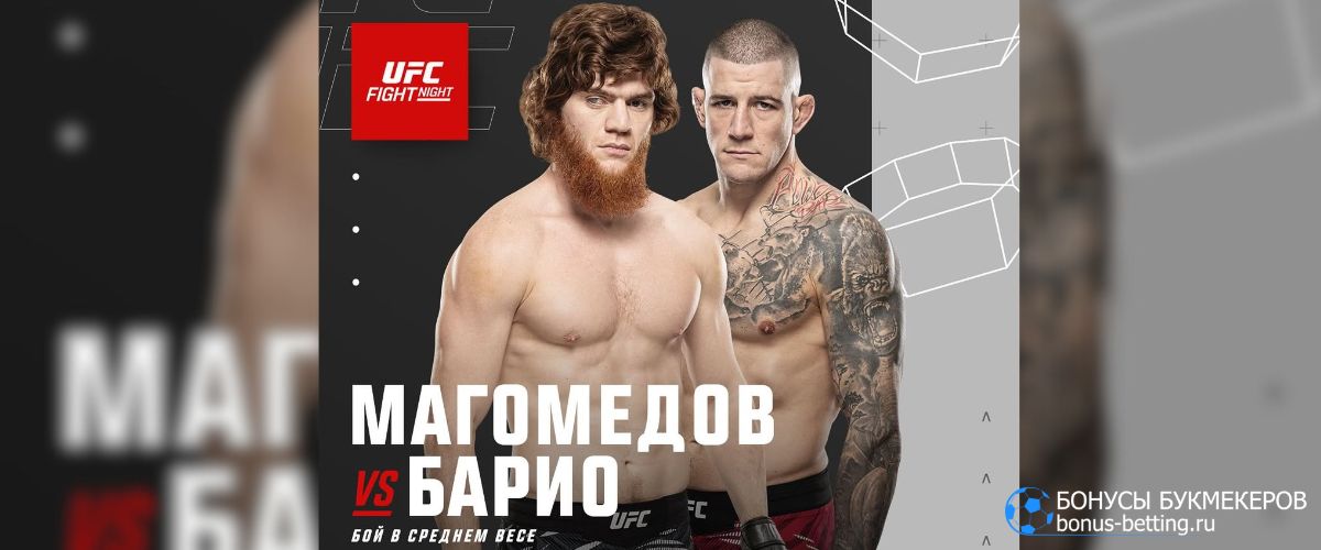 Магомедов – Барио прогноз 26 июля