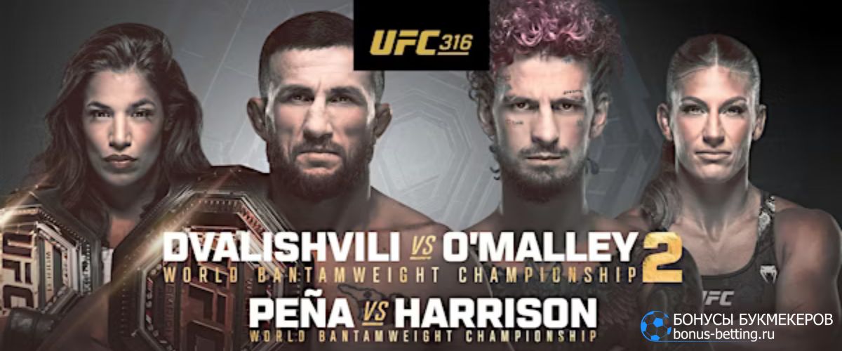 Экспресс на UFC 316