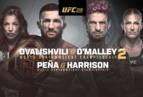 UFC 316