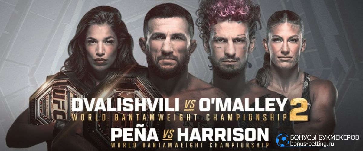 UFC 316