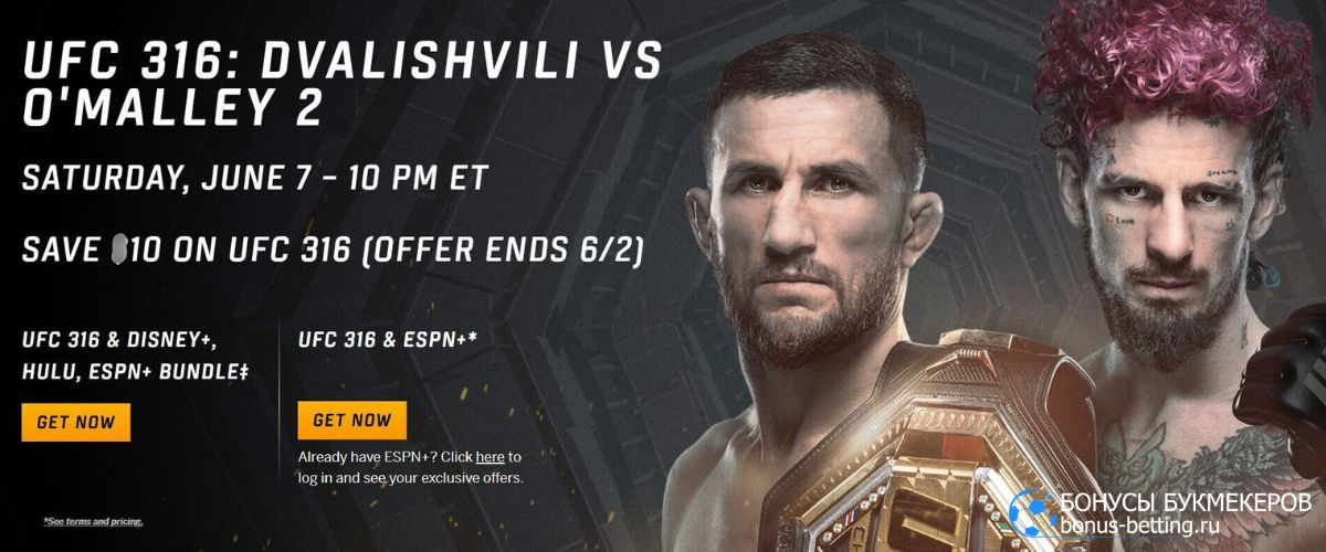 Трансляция UFC 316 смотреть онлайн бесплатно