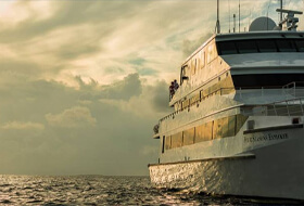 Турнир HighRoll Ocean в Cat casino