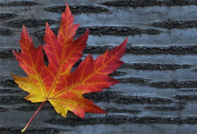 Сказки сентября в Jozz casino