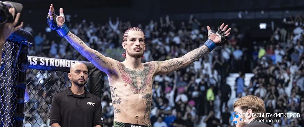 Прогноз на бой Шон О’Мэлли – Сонг Ядонг UFC 323 Лас-Вегас