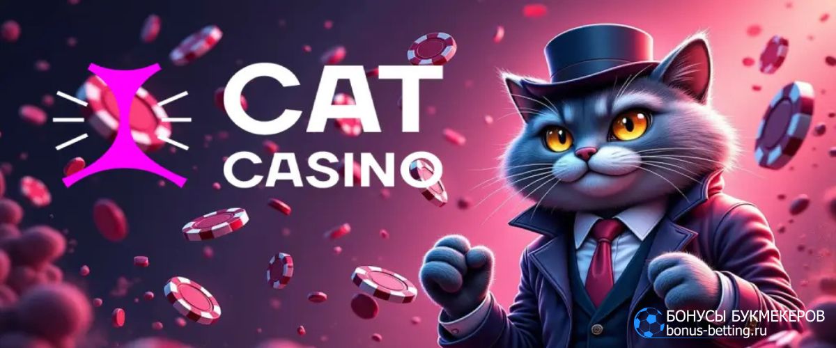 Обзор Cat Casino официальный сайт