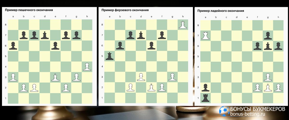 Виды эндшпиля в шахматах Виды эндшпиля в шахматах