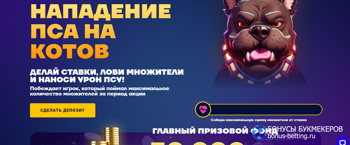 Нападение на пса котов в Cat casino