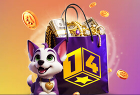 Black Spin Fever в Irwin casino