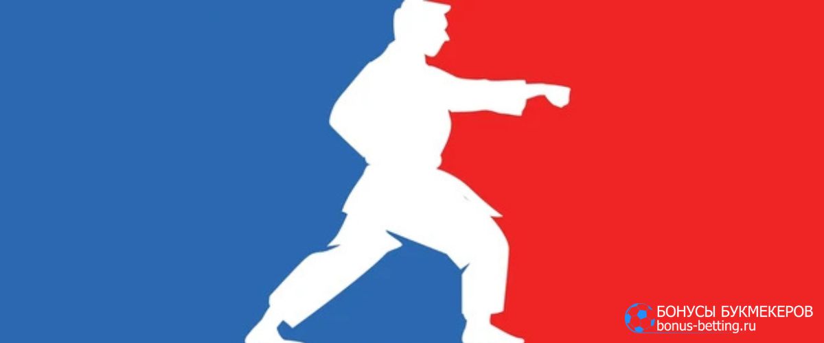 Ставки на единоборства в январе 2026