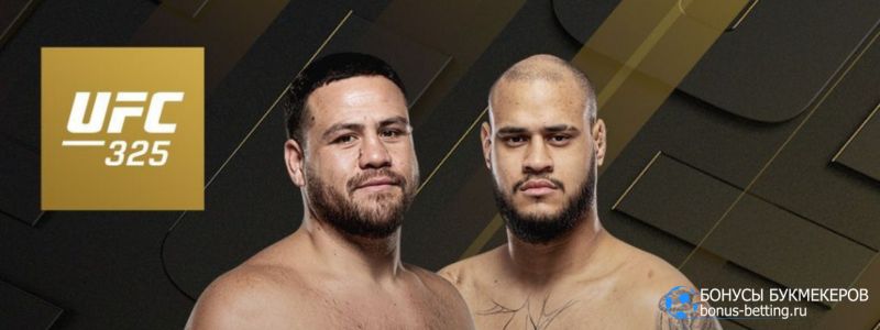 Туиваса – Тейшейра прогноз 1 февраля