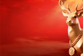 Wonder Win от Barbara Bang в GetX