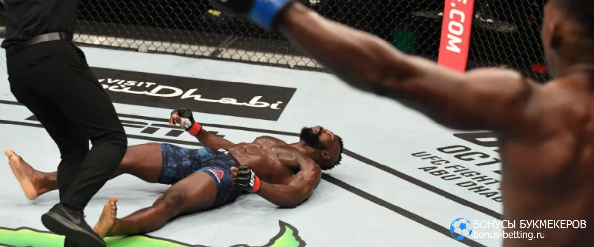 Когда и как появились бонусы UFC