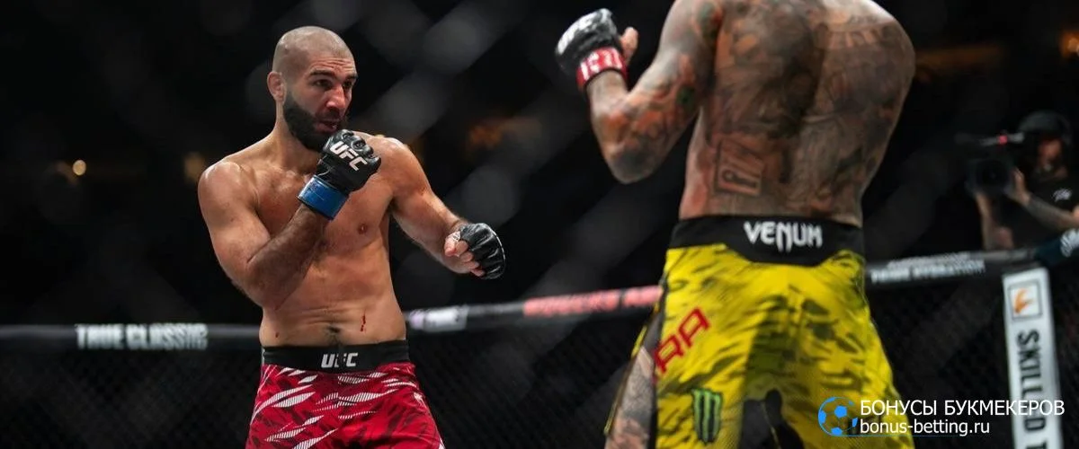 Прогноз Айман Захаби – Шон О’Мэлли UFC 250 Freedom Белый дом