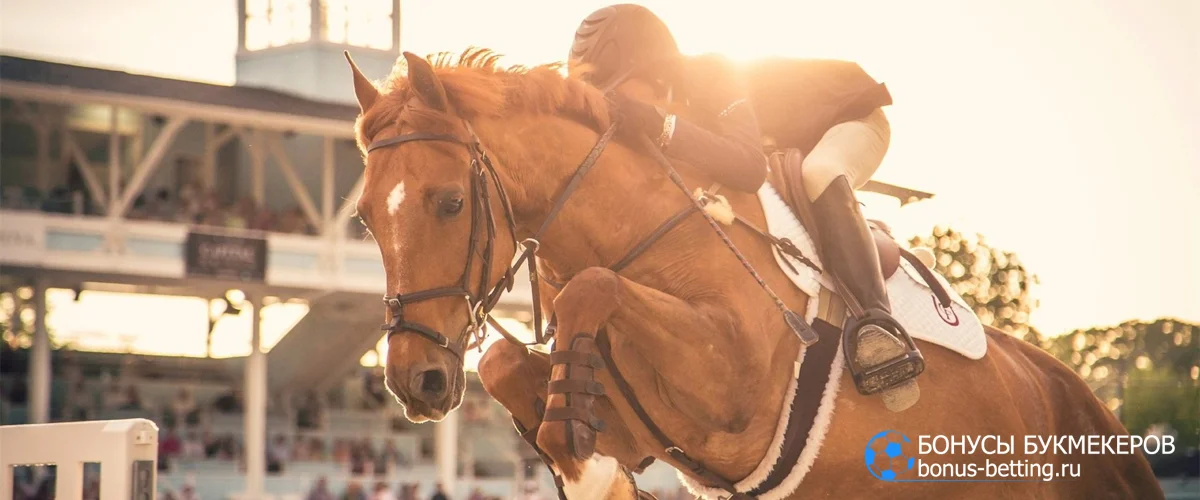 Расписание соревнований по конному спорту 2026