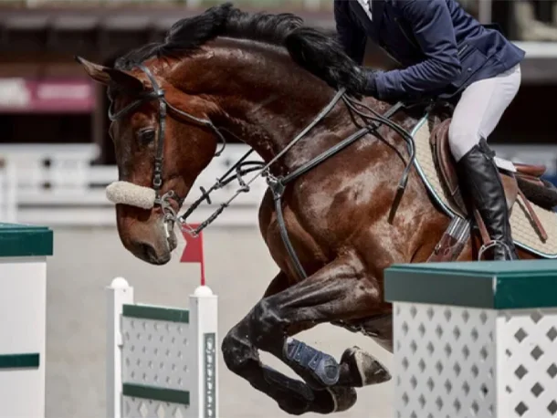 Расписание соревнований по конному спорту 2026