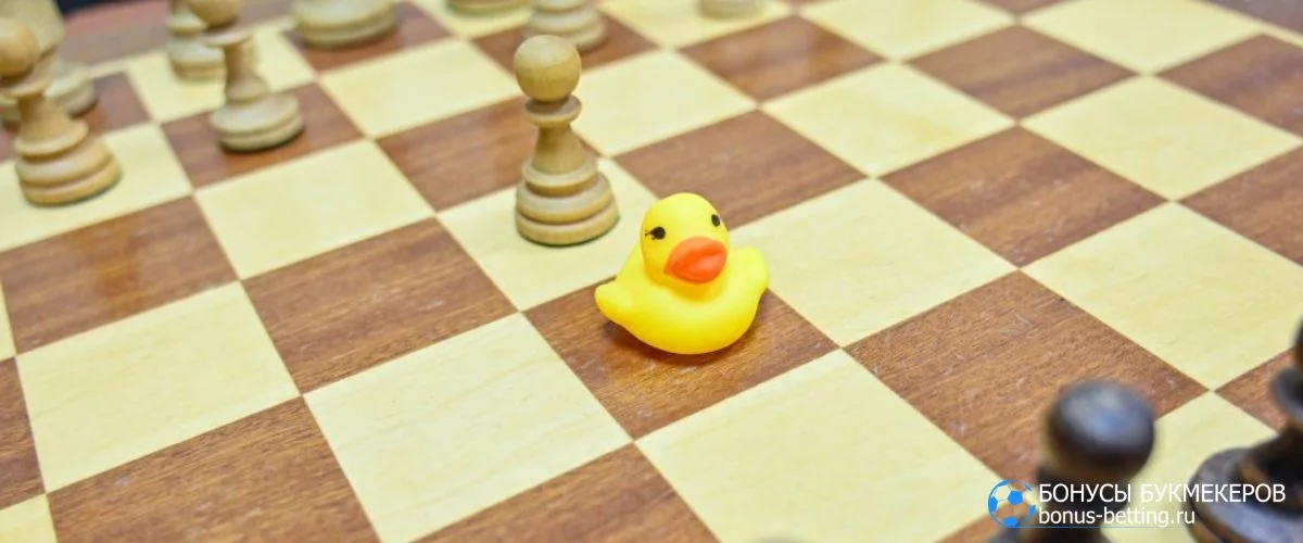 Разновидности шахмат утиные/ шахматы с уточкой