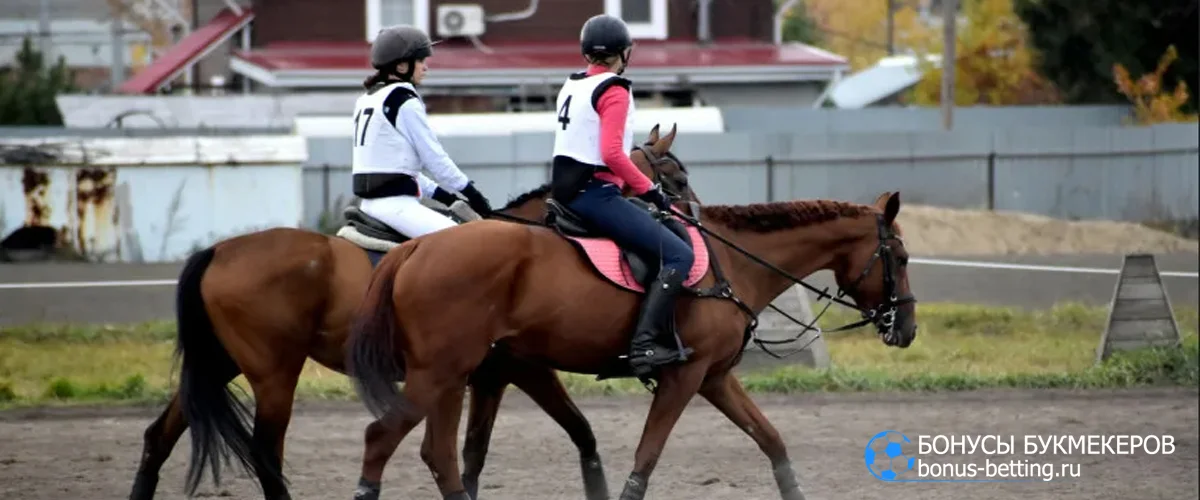 конный спорт соревнования