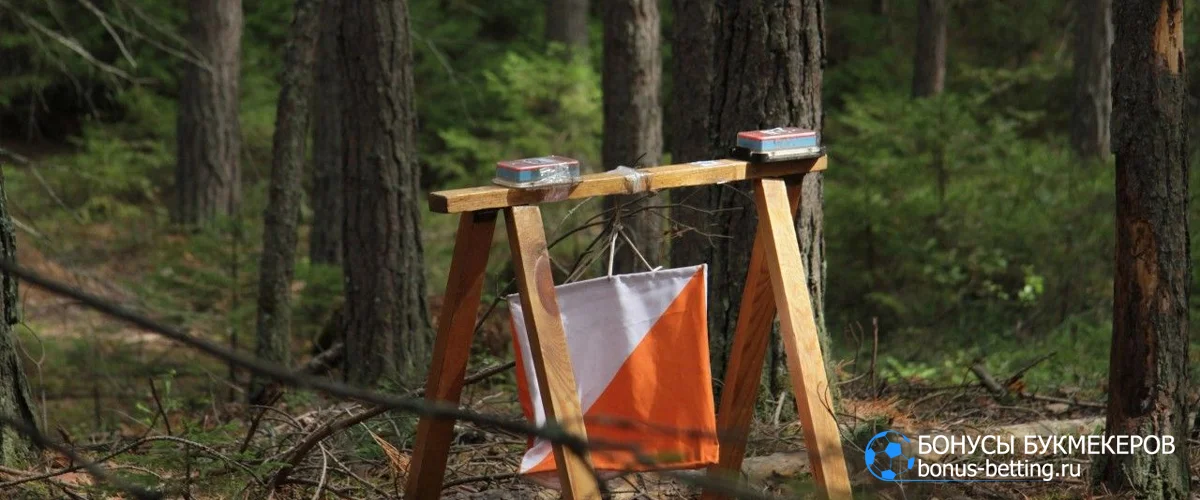 спортивное ориентирование метки