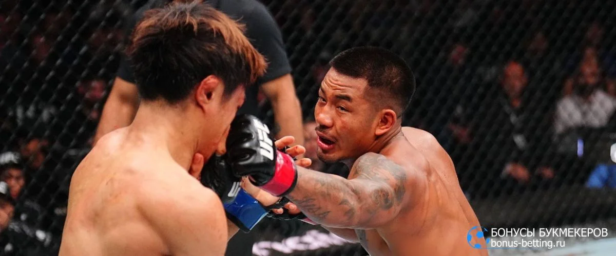 Прогноз на бой Пантожа – Ван 2 реванш UFC 2026