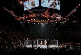 Главные бои UFC лета 2026