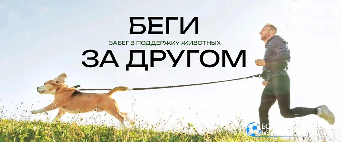 Благотворительный фестиваль Беги за другом 2026 пройдет в Москве 8 августа