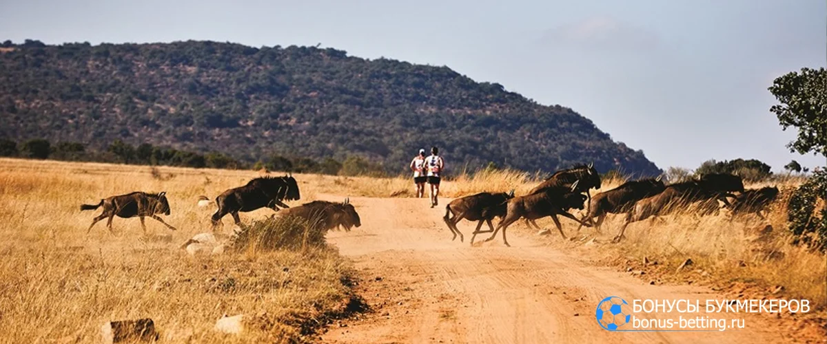 Самые дорогие марафоны мира Big Five Marathon