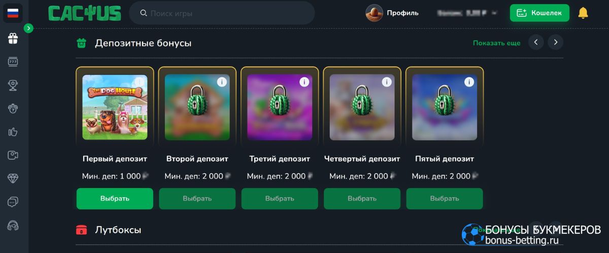 Какие бонусы Cactus Casino доступны новичкам и постоянным клиентам Какие бонусы Cactus Casino доступны новичкам и постоянным клиентам