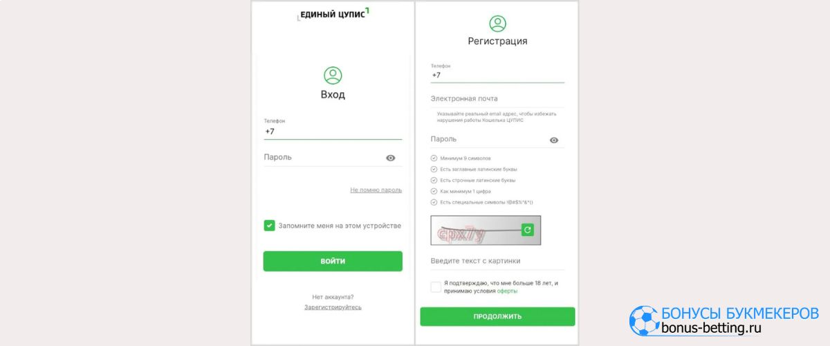 Идентификация через Единый ЦУПИС