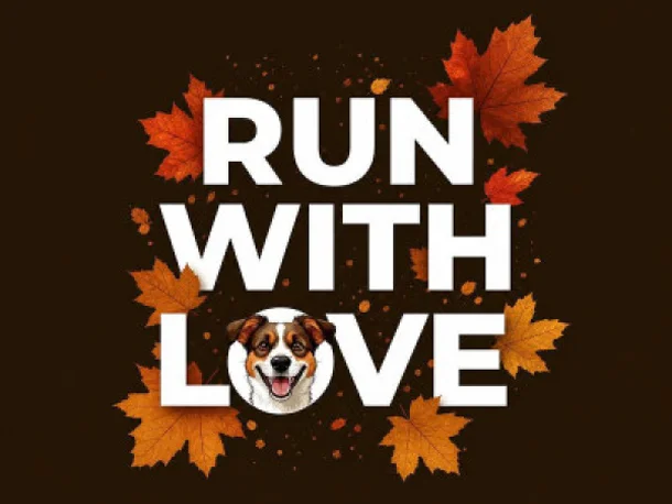 Run With Love 2026: любительский забег в помощь животным